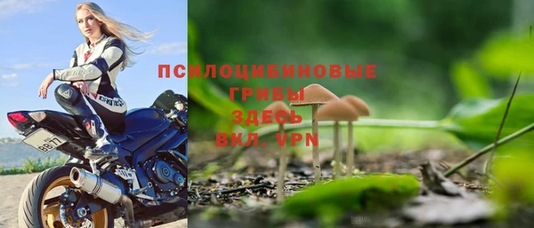 тгк Алексин