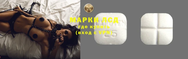 тгк Алексин