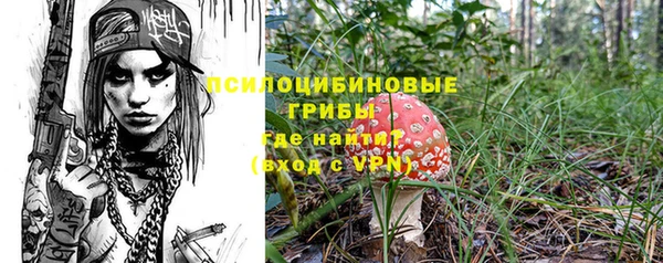 метадон Алексеевка