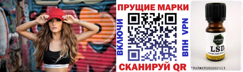 mega сайт Новоузенск Марки 25I-NBOMe 1,8мг наркота