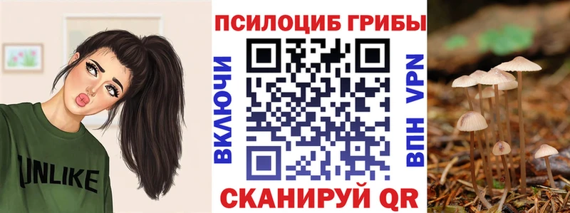 Псилоцибиновые грибы MAGIC MUSHROOMS купить наркотик ОМГ ОМГ зеркало Новоузенск