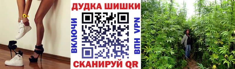 Конопля MAZAR  KRAKEN ТОР  Новоузенск 